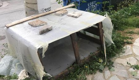 Η διαχείριση των αδέσποτων και των... εργολάβων των ΔΕΚΟ στο Δημοτικό Συμβούλιο