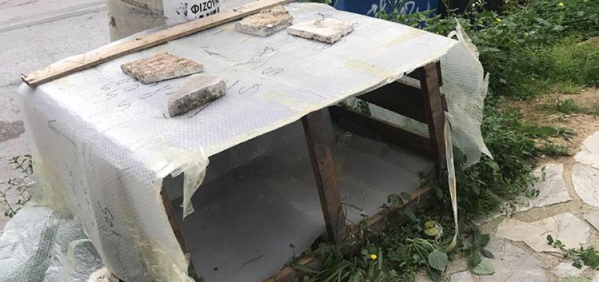 Η διαχείριση των αδέσποτων και των... εργολάβων των ΔΕΚΟ στο Δημοτικό Συμβούλιο