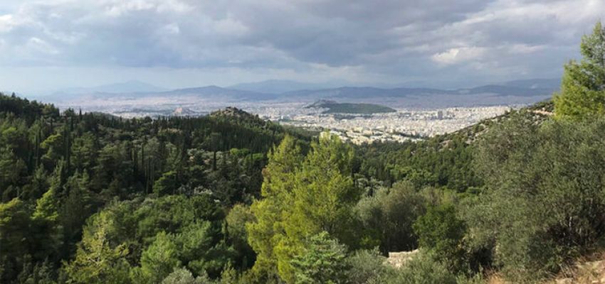 H κατάσταση του δάσους του Υμηττού και το φαινόμενο της ξήρανσης στη Βουλή από το ΚΚΕ