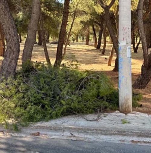 Ένταση στου Παπάγου: Κλαδεύουν πεύκα για καλώδια που δεν έπρεπε να είχαν ρευματοδοτηθεί!
